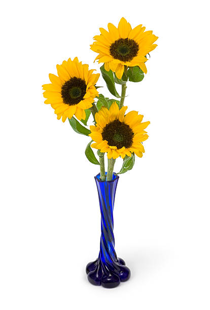 Bouquet of sunflowers