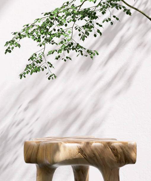 Beautiful grain, natural shape wooden podium table, tropical tree in dappled sunlight, leaf shadow on white concrete texture wall Beautiful grain, natural shape wooden podium table, tropical tree in dappled sunlight, leaf shadow on white concrete texture wall for luxury organic cosmetic, skincare, beauty treatment product background 3D message of nature stock pictures, royalty-free photos & images