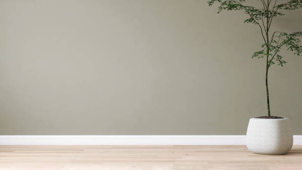 istock Clean, blank sage green wall with tropical tree in round white granite rock pot on brown light brown parquet floor in sunlight 1467765977
