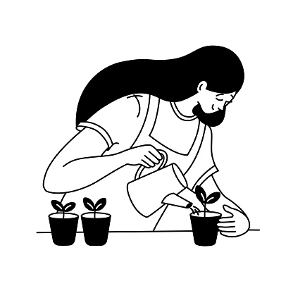 Woman watering seedlings in flowerpots, growing plants or vegetables seeds at home. Urban apartment gardening, indoor organic vegetables farming. Horticulture concept.