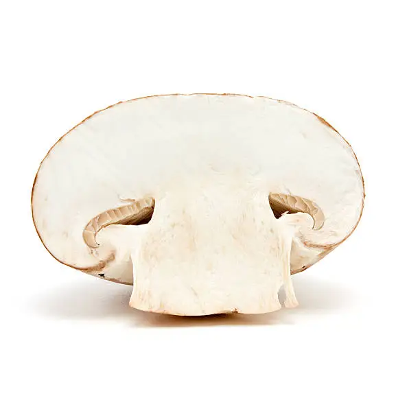 Sliced Chestnut Mushroom from low viewpoint isolated against white background.