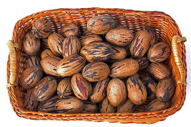 Pecans in a Basket stock photo