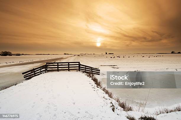 Paisagem De Inverno De Bonito Moinho De Vento - Fotografias de stock e mais imagens de A nevar - A nevar, Agricultura, Animal
