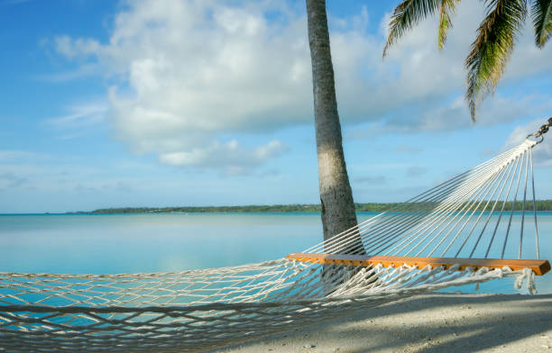 istock White string hammock strung between coconut palms on idyllic tropical island beach 1467770786