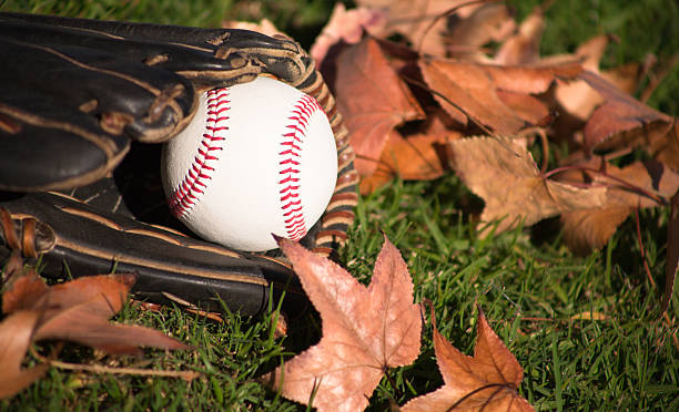 Fall Ball stock photo