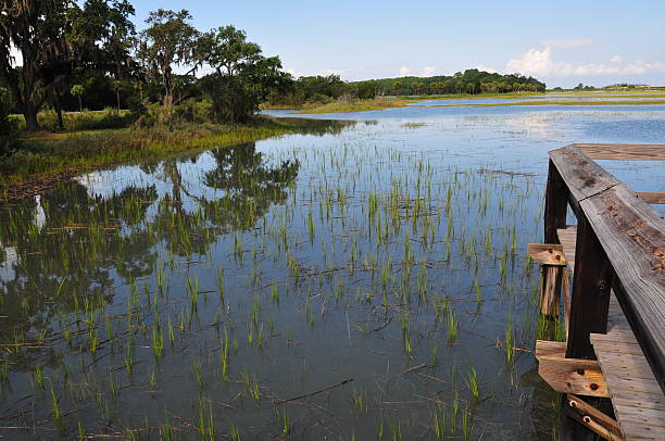 Wetlands Wildlife Preserve