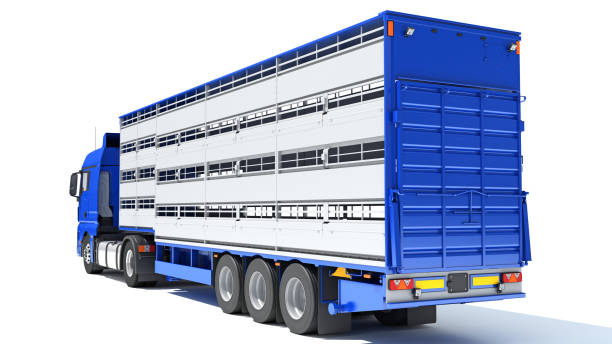 istock Animal Transporter Truck 3D rendering on white background 1467781316