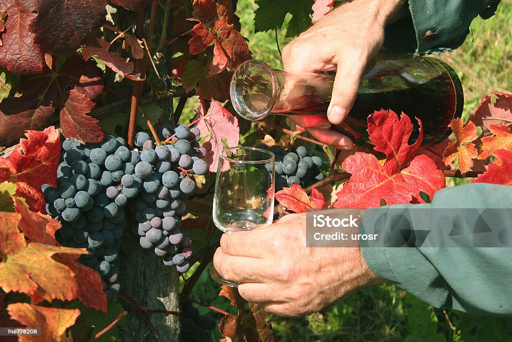 Servindo vinho tinto - Foto de stock de Adulto royalty-free