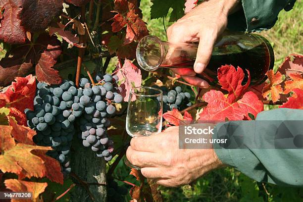 Foto de Servindo Vinho Tinto e mais fotos de stock de Adulto - Adulto, Agricultura, Bebida