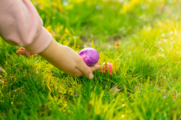 istock Easter Egg Hunt.Childrens hands collect eggs in the green grass. Christian and Catholic tradition holiday.Finding colored eggs in the grass.Spring religious holiday 1467782818