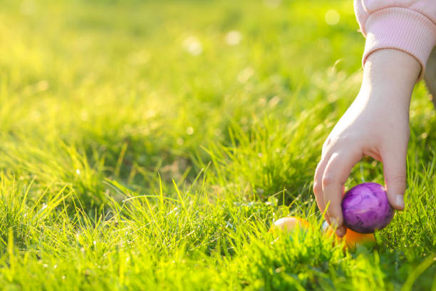 istock Easter Egg Hunt.Childrens hands collect bright eggs in the green grass. Christian and Catholic tradition holiday.Finding colored eggs in the grass.Spring religious holiday 1467782820