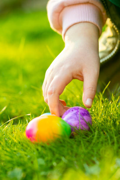 istock Easter Egg Hunt.Finding colored eggs in the grass.Childrens hands collect bright eggs in the green grass.Easter holiday tradition.Spring religious holiday.Easter food. 1467782899