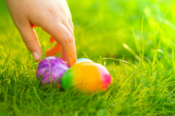 istock Easter Egg Hunt.Finding eggs in the grass.Childrens hands collect bright eggs in the green grass.Easter holiday tradition.Spring religious holiday.Easter food. 1467782904