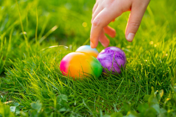 istock Easter Egg.Finding colored eggs in the grass.Childrens hands collect bright eggs in the green grass.Easter holiday tradition.Spring religious holiday.Easter food. 1467782907