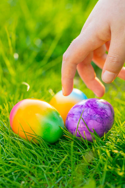 istock Easter Egg Hunt.Finding eggs in the grass.Childrens hands collect bright eggs in the green grass.Easter holiday tradition.Spring religious holiday.Easter food. 1467782908