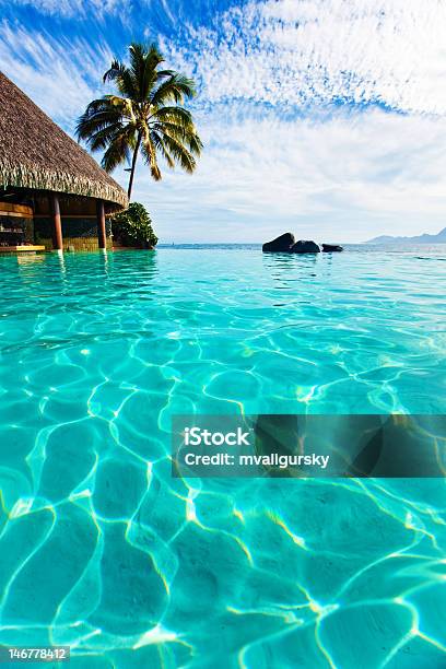 Palmera Colgar En La Piscina De Borde Infinito Foto de stock y más banco de imágenes de Agua - Agua, Aire libre, Arena