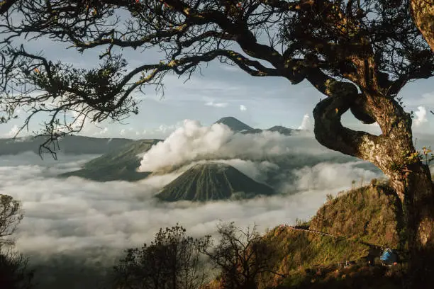 Mount Bromo volcano at sunrise from viewpoint on Mount Penanjakan, Bromo Tengger Semeru National Park, in East Java, Indonesia.