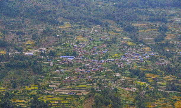 istock The mountain village with rice fields 1467789671
