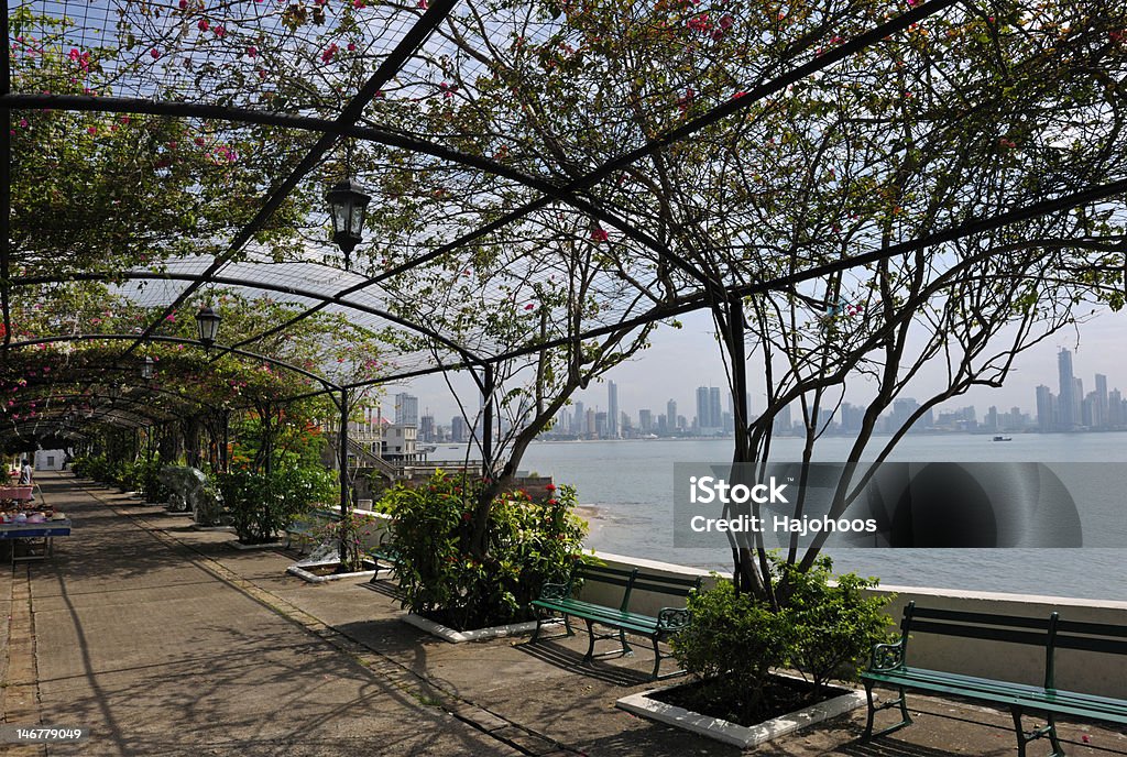 Casco Viejo Flower Promenade Roses tunnel with view of modern Panama City in background. Casco Viejo Stock Photo