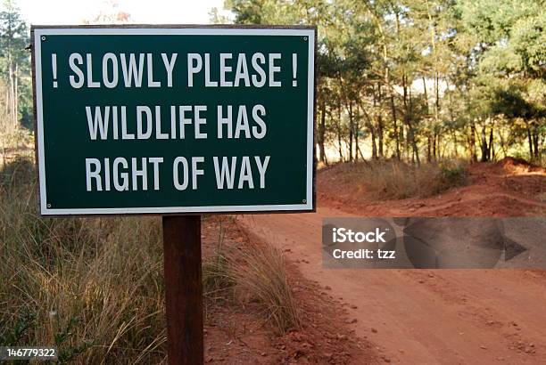 Wildlife Bezpieczeństwa Znak Drogowy - zdjęcia stockowe i więcej obrazów Bez ludzi - Bez ludzi, Bezpieczeństwo, Droga