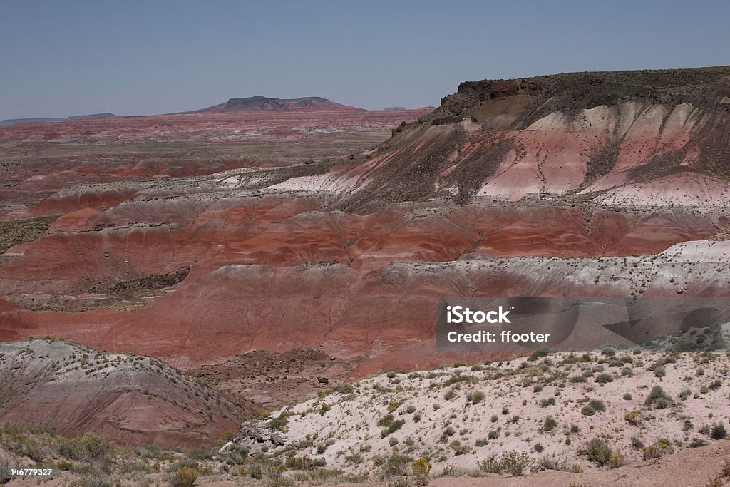 페인트 사막 - 로열티 프리 0명 스톡 사진