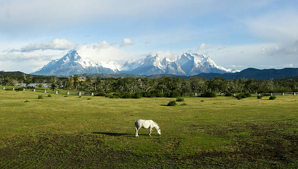 Cuernos del Paine - Patagonia Chile stock photo