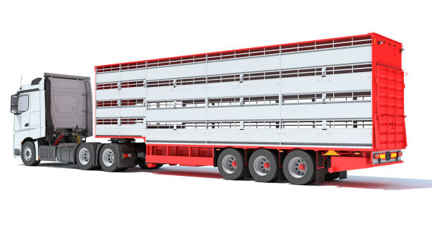istock Animal Transporter Truck 3D rendering on white background 1467799680