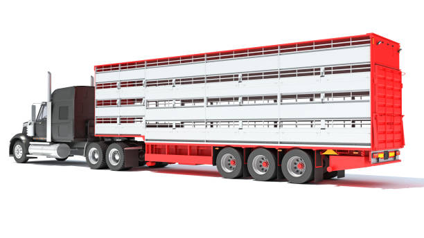 istock Animal Transporter Truck 3D rendering on white background 1467799738