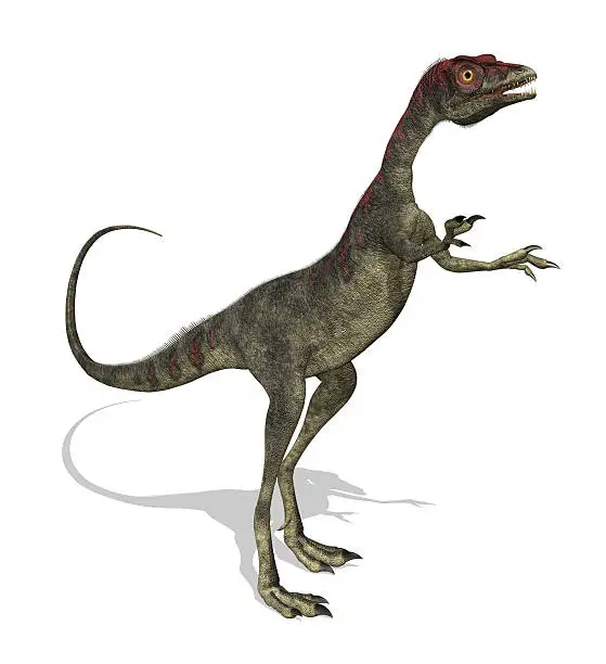 Photo of Compsognathus Dinosaur