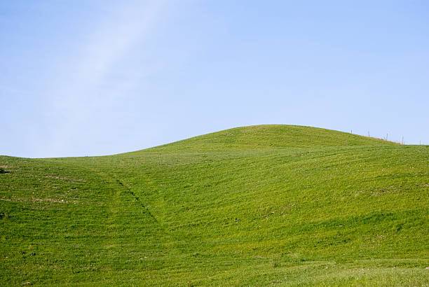 istock Green hills and blue sky with copy space 146780266