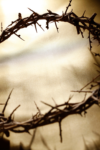 Crown of thorns on a gold background.