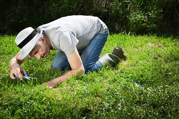 seltsame gärtner. - lawn mowing gardening obsessive stock-fotos und bilder