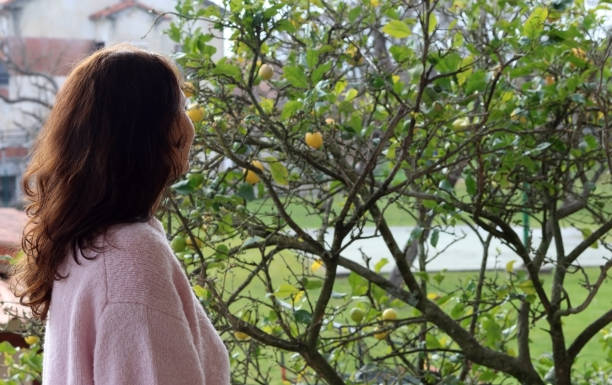 uma mulher no perfil olhando para um limoeiro - close up women horizontal citrus fruit - fotografias e filmes do acervo
