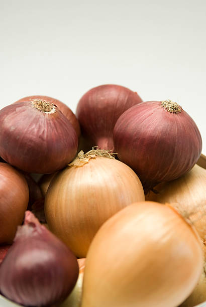 red & white onions stock photo