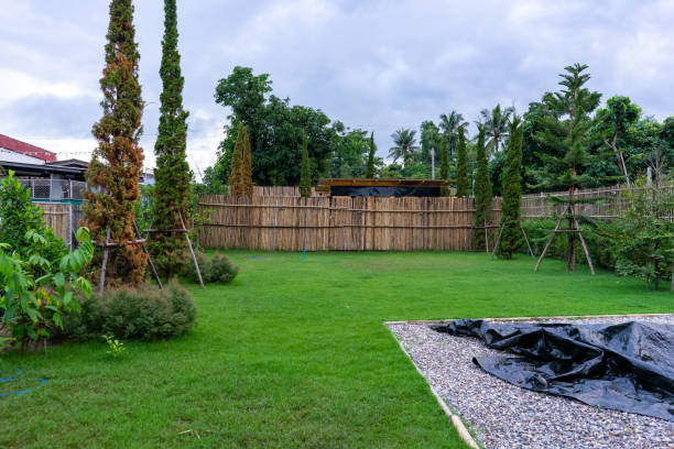 istock There is plenty of space in the backyard with bamboo fence. It is appropriate for throwing a camping party. 1467816151