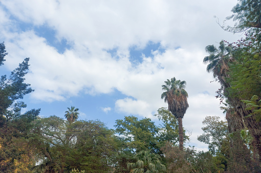 The zoo was built by Khedive Ismail and opened on 1 March 1891, It was first established to be a botanical garden, with various imported rare species of the most beautiful plants and cactus all over the world.