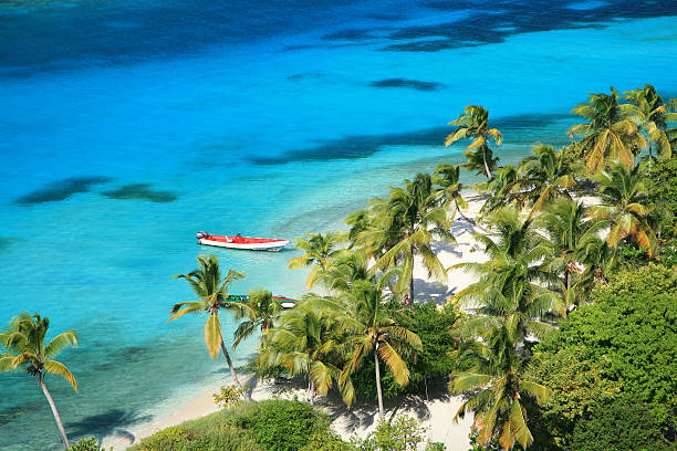 Palm Trees and Turquoise Water Small red boat on an uninhabited island in the Caribbean tobago cays stock pictures, royalty-free photos & images