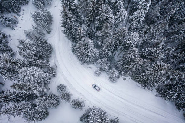 istock Picturesque snowy forest with a car on a curvy road 1467823497