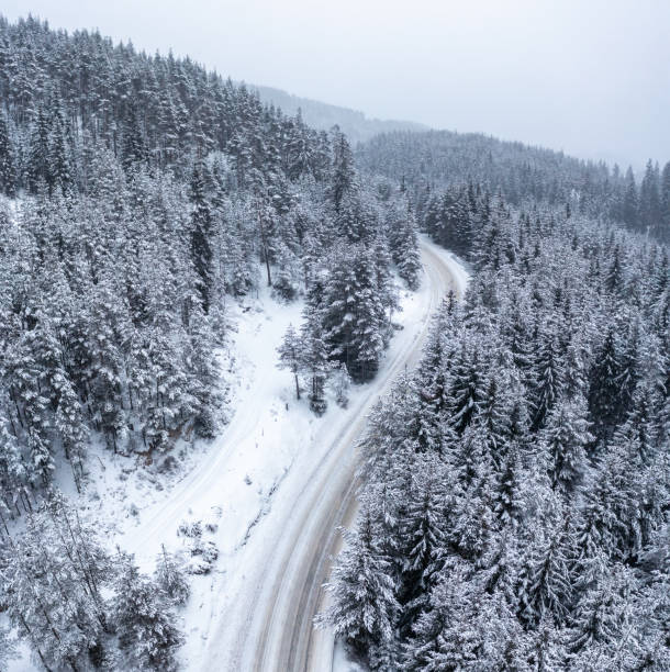 istock Snowy forest with a curvy road passing through it 1467823528