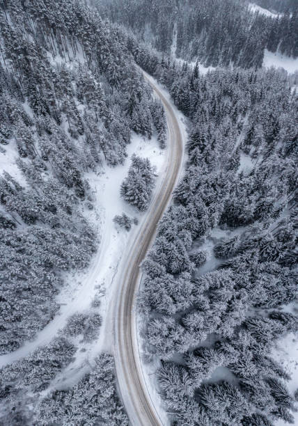 istock Snowy forest with a curvy road passing through it 1467823532