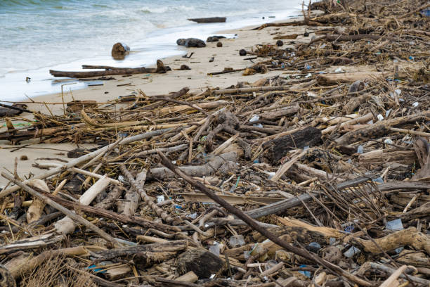 istock Tropical beach completely covered with garbage and waste. Ecological disaster in Bali island, Jimbaran beach, Indonesia. Global ocean pollution, natural disaster of mankind 1467828805