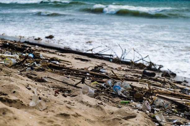 istock Tropical beach completely covered with garbage and waste. Ecological disaster in Bali island, Jimbaran beach, Indonesia. Global ocean pollution, natural disaster of mankind 1467828988