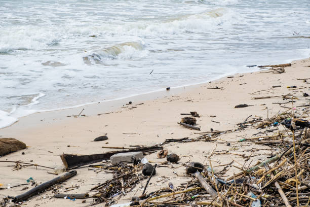 istock Tropical beach completely covered with garbage and waste. Ecological disaster in Bali island, Jimbaran beach, Indonesia. Global ocean pollution, natural disaster of mankind 1467829165