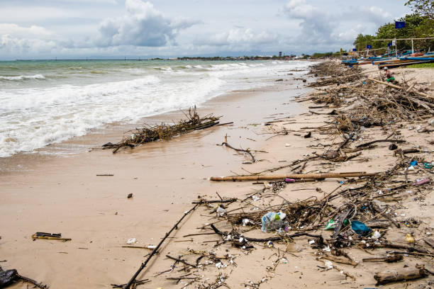 istock Tropical beach completely covered with garbage and waste. Ecological disaster in Bali island, Jimbaran beach, Indonesia. Global ocean pollution, natural disaster of mankind 1467829211
