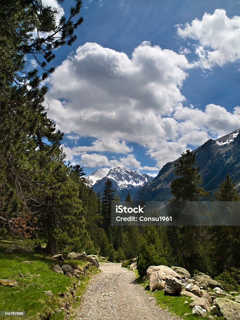 Aigüestortes - Foto de stock de Abeto libre de derechos