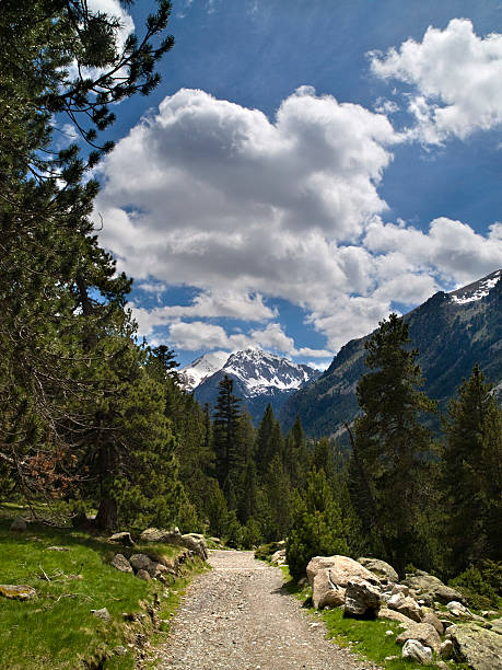 Aigüestortes - foto stock