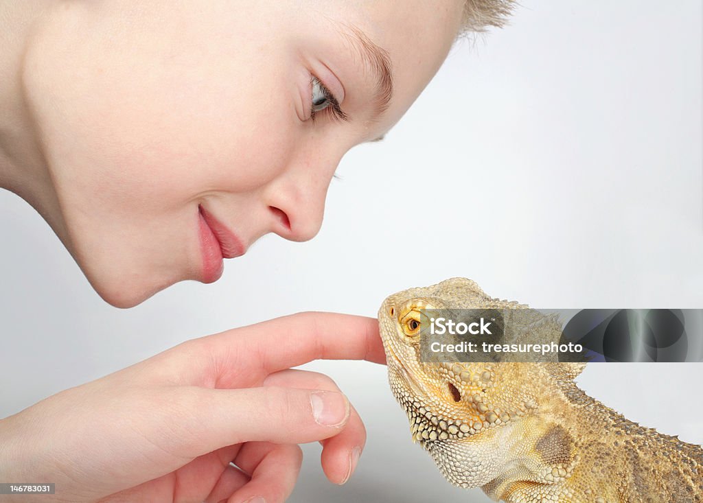 boy and lizard close-up of little boy playing with a pet lizard Child Stock Photo