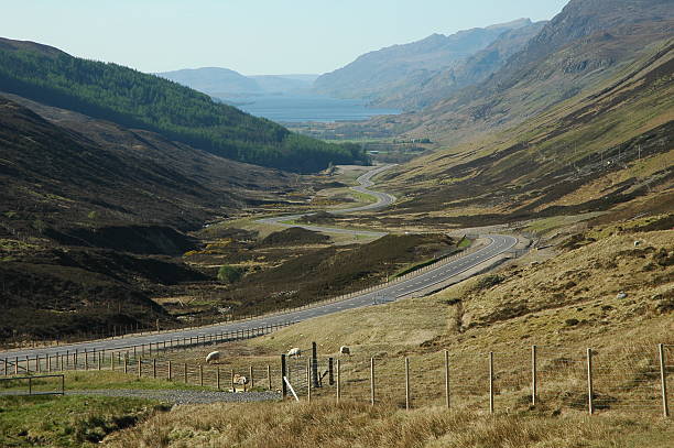 istock Road in a glen, Scotland. 146783341
