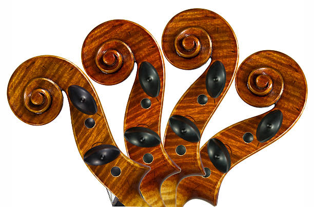 violin scrolls stock photo