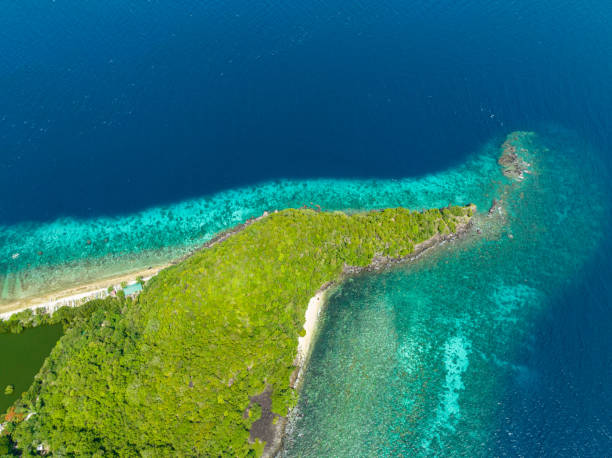 istock Tropical Apo Island. Philippines. 1467833679